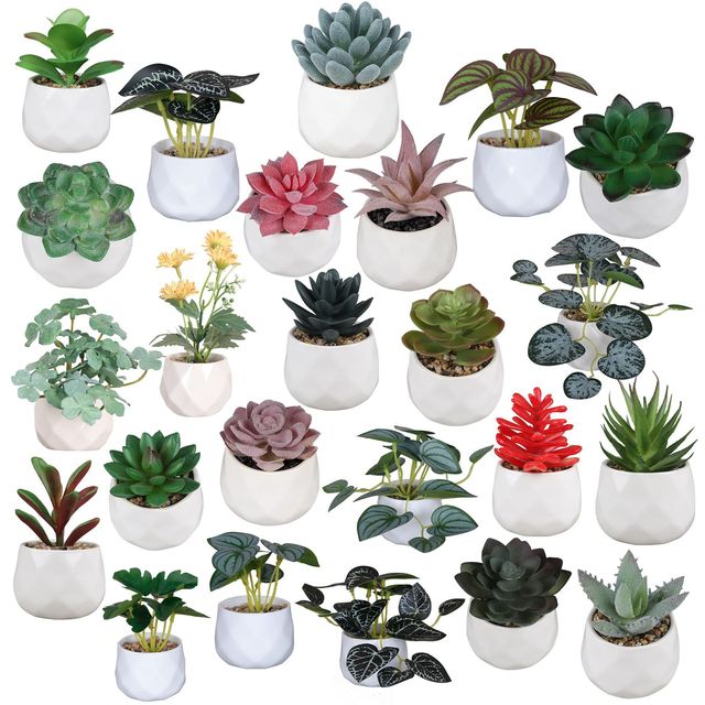 Wholesale High Quality Succulents Plants Artificial in Mini White Ceramic Pots Small Fake Succulents Plants