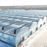 Serre tunnel agricole commerciale multi-chapelles en film plastique hydroponique de grande taille pour la culture de tomates