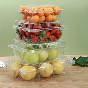 Fabrika Çıkışlı Şeffaf PET Plastik Sebze Meyve Üzüm Erik Çilek Kapaklı Kutular Tek Kullanımlık Plastik Meyve Üzüm Kapları - Product Image 5