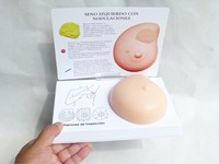 Modèle de sein en silicone pathologique pour la science médicale, produit de qualité alimentaire, modèle d'examen mammaire en silicone 3D pour la pratique, CE/ISO