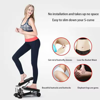 Mini Stepper d'Exercice avec Bandes de Résistance pour Fitness, Yoga et Entraînement à Domicile