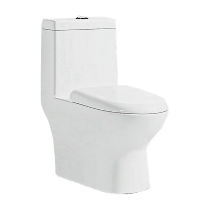 China Sanitários Wc Siphonic Master Ceramics Hcg Round Ceramic Bathroom One Piece WC