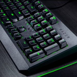 BlackWidow Essential Green avec rétroéclairage LED, clavier standard 104 touches pleine taille - Product Image 1