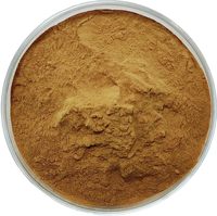 Poudre d'extrait de racine de Suma de qualité alimentaire en gros, poudre d'extrait de Pfaffia Paniculata
