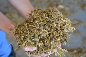Mélangeur de rations totales TMR, mélangeur d'aliments pour bovins et ovins, fonctionnement stable, faible consommation d'énergie, entretien facile, fournisseur distributeur - Product Image 5
