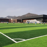 AlwaysGreen Rasen Outdoor Fußballplatz Garten Landschaftsgestaltung Hochdichte 60mm Kunstrasen Teppich Künstlicher Rasen