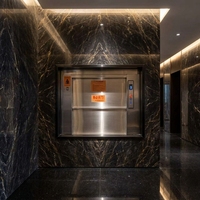 Montacarichi Moderno Senza Ingranaggi in Acciaio Inox 304 a Prezzo di Fabbrica per Ristoranti, Hotel, Case e Piccole Cucine