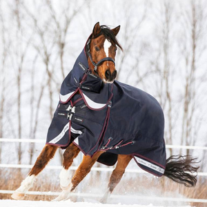 Couverture d'équitation professionnelle personnalisée et durable, imperméable, pour l'hiver, avec rembourrage en plumes, tissu premium, pour le dressage, utilisable en machine. - Product Image 6