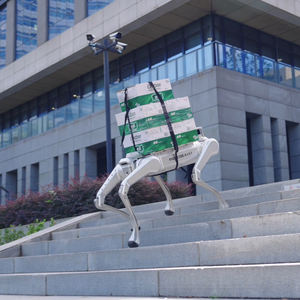 Robot quadrupède industriel personnalisé, robot intelligent intelligent à intelligence artificielle, chien robot pour le sauvetage, la foresterie, la lutte contre les incendies, la sécurité, la <span class=keywords><strong>patrouille</strong></span>, l'inspection - Product Image 3