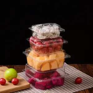 Blister Transparente Uvas Cerejas Pão Embalagem Food Grade Limpar PET Fruta Caixas Plástico Clamshell Punnet Container Box