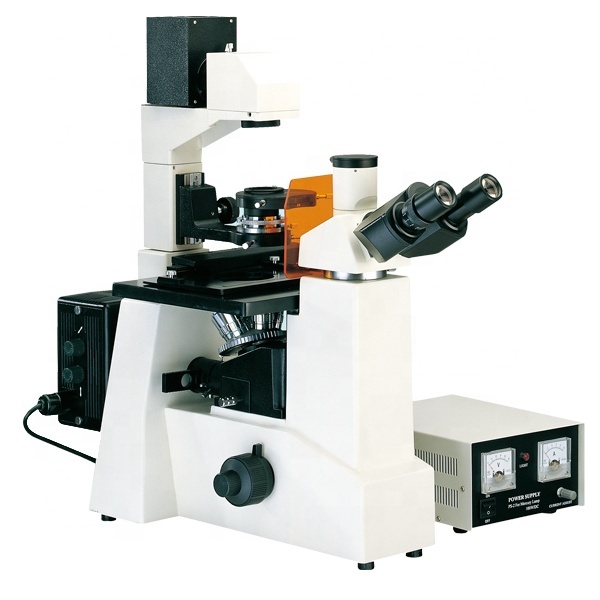 VMF200I Inverted Scentific Research Fluorescence Fluorescent Microscope Price with Modular Design