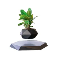 Maceta flotante artificial para plantas, taza de bonsái de levitación magnética, regalos personalizados, enamórate de los regalos decorativos minimalistas