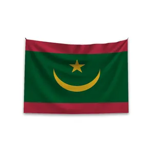 Werbeartikel Banderas de Paises Doppelseitig bedruckte Polyester Outdoor Dekoration benutzer definierte maure ta nische Mauretanien Flagge