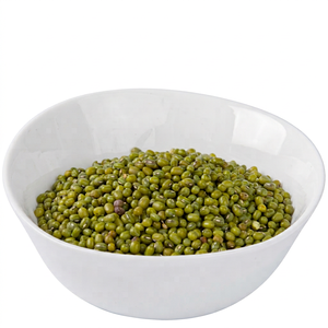 Haricots Verts Indiens de Qualité Supérieure, Séchés Naturellement, Entiers, Durée de Conservation de 24 Mois, Vente en Gros pour Acheteurs Commerciaux Internationaux - Product Image 1