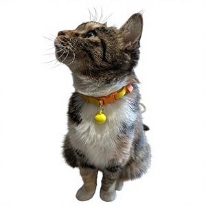 Collares para Mascotas con Decoración de Bola Amarilla, Novedad <span class=keywords><strong>2026</strong></span>, para Perros y Gatos Pequeños y Medianos, Ajustables, Productos para Mascotas de Moda para Festivales - Product Image 1