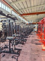 Equipo de Gimnasio Multifuncional SK, Cable Crossover, Rack de Entrenamiento Funcional, Barra de Dominadas para Gimnasio o Club