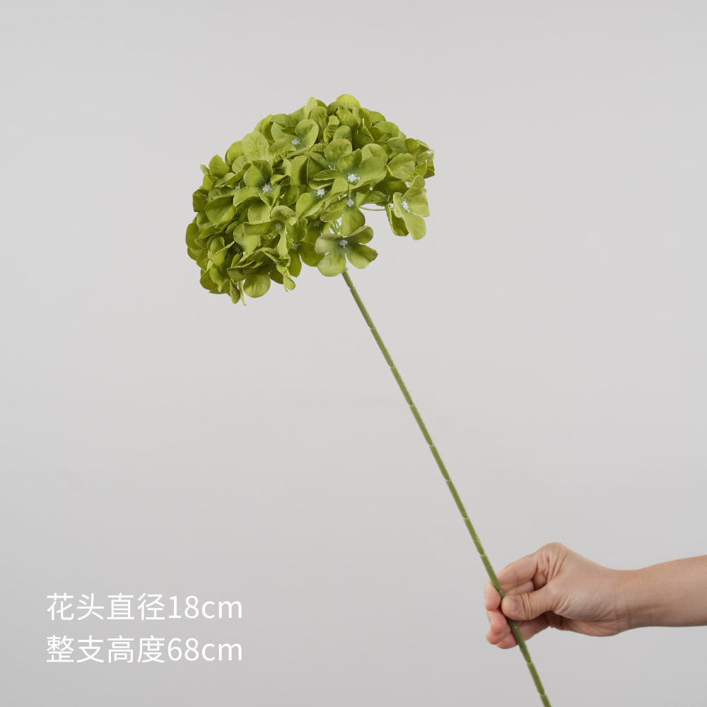 Vert foncé