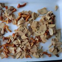 Assortiment de Champignons en Conserve de Qualité Supérieure, Variétés Mixtes, Présentés dans l'Eau, Champignons Comestibles Nutritifs, Légumes Conservés pour la Restauration