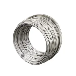 Aisi Ss 201 304 316 321 0.18Mm Thin Stainless Steel Micro Rod Wire