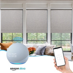 Cuộc sống thông minh Alexa nhà ở cuốn rèm cửa sổ bóng râm màu đen/trắng/màu be Con lăn Rèm cho Windows Cortina rolo motorizada - Product Image 1