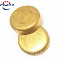 Bouchons de Congélation pour Moteur Chemises d'Eau Moteur