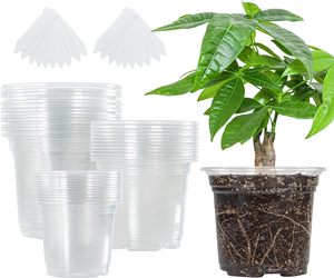4" Reinforced Clear Nursery Pots For Easy Transplant Transparent Plastic Plant Pot Reusable Seedling Pots