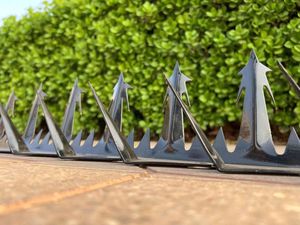 Fil <span class=keywords><strong>de</strong></span> fer barbelé à pointe croisée, vente chaude, directement <span class=keywords><strong>de</strong></span> l'usine, dernière réduction, fil d'acier galvanisé au <span class=keywords><strong>zinc</strong></span>, revêtement PVC, ISO - Product Image 2