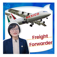 Agent maritime professionnel le plus rapide DDP DDU FCL LCL de Chine vers le Mexique Livraison aérienne + express