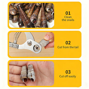 Tijeras Antideslizantes para Cortar Colas <span class=keywords><strong>de</strong></span> <span class=keywords><strong>Caracoles</strong></span> <span class=keywords><strong>de</strong></span> <span class=keywords><strong>Campo</strong></span>, Herramienta Especializada para <span class=keywords><strong>Caracoles</strong></span> <span class=keywords><strong>de</strong></span> Río - Product Image 2