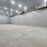 Construction complète d'un grand entrepôt frigorifique, chambre froide industrielle pour le projet de conservation des fruits et légumes