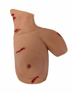 Modelo de Disección Forense de Tórax y Abdomen, para Educación Médica Legal y Ambiental, de Silicona Suave, Tamaño Real, Detallado, DR - Product Image 2