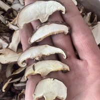 Champignons Shiitake déshydratés en tranches 3mm-5mm Qualité alimentaire naturelle Sac de 10kg Exportation