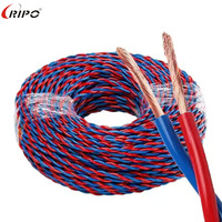 Kabel Listrik Berinsulasi Ripo RVV Berkualitas Tinggi Harga Terbaik 2 Inti Terpilin Dapat Disesuaikan Kabel Daya Tembaga Fleksibel PVC