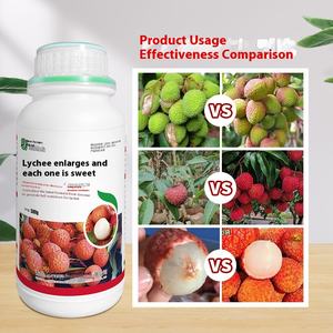 리치 수용성 비료 과일 방울 리치나무 수용성을 위한 달콤한 꽃 유도 수분 방지 - Product Image 4
