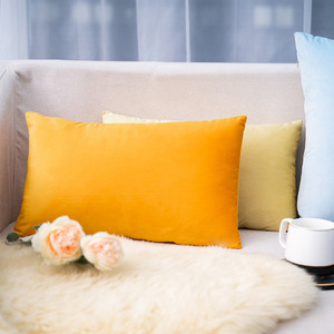 50x30cm Zachte Rechthoekige Kussenhoes Woondecoratie voor Woonkamer Bank <span class=keywords><strong>Bed</strong></span> Sofa Fluweel Decoratieve Kussenhoezen - Product Image 4