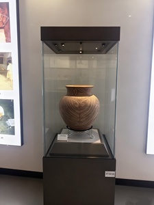 Vitrina de Vidrio Económica BX para Museo, Biblioteca y - Product Image 4