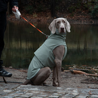 Imperméable pour chien, imperméable et coupe-vent, veste de pluie pour chiens de petite, moyenne et grande taille, couverture intégrale du corps, vêtements d'extérieur pour toutes les conditions météorologiques