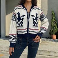 Nouveau pull court pour femme, style rétro chic, tricoté, pour l'automne et l'hiver
