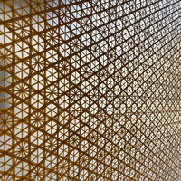 Panneau d'art en résine PETG tissé en bambou naturel, stratifié transparent, pour la décoration intérieure d'hôtels et de villas