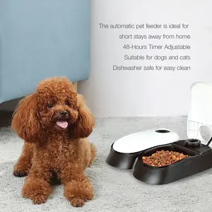 China Hersteller Preis Automatisch Zeit gesteuerter Hund Katze Tiernahrung Feeder Spender Doppelsc halen Smart Automatic Cat Feeder