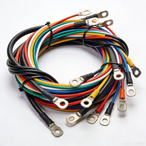 OEM・ODMカスタム電子銅導体配線ケーブル、自動車・家電用PVC絶縁ワイヤーハーネス - Product Image 1