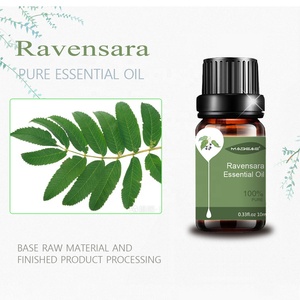 10ML Venta caliente Ravensara <span class=keywords><strong>Aromatica</strong></span>. (Ravensara) Leaf Oil CAS 91770-56-8 Precio a granel de etiqueta privada para el cuidado de la piel y el cabello - Product Image 4