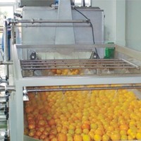 Hoge Kwaliteit Hoge Efficiëntie Wassen Roller Borstel Fruit Groente Machine