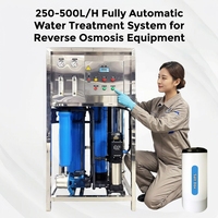 Système de purification d'eau par osmose inverse automatique, 250L à 500L/H, station de traitement d'eau pour usage commercial