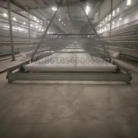 Cage à poulets automatique pour 5000 oiseaux, cage à volailles industrielle en acier avec système de ventilation