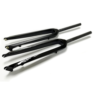 Càng xe đạp sợi carbon tùy chỉnh, xe đạp leo núi, càng thẳng, càng xe đạp đường trường, phanh đĩa - Product Image 1