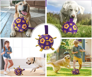 Großhandel Mode Haustier Fußball Hundes pielzeug Hund Kauen Spielzeug Ball Private Label Hundes pielzeug - Product Image 4