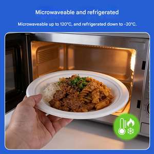 Assiettes jetables rondes en bagasse de canne à sucre biodégradables et non toxiques, taille personnalisée, avec logo OEM, pour camping et fêtes - Product Image 4