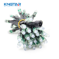 Lampu Pixel LED RGB 12mm 24V IP68 Tahan Air untuk Luar Ruangan, Lampu Titik Berubah Warna untuk Taman Hiburan, Dekorasi Natal