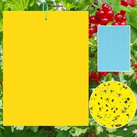 Piège à insectes volants double face jaune blanc Abeille collante Tueur de mouches des fruits Verger Lutte antiparasitaire jetable Usage domestique